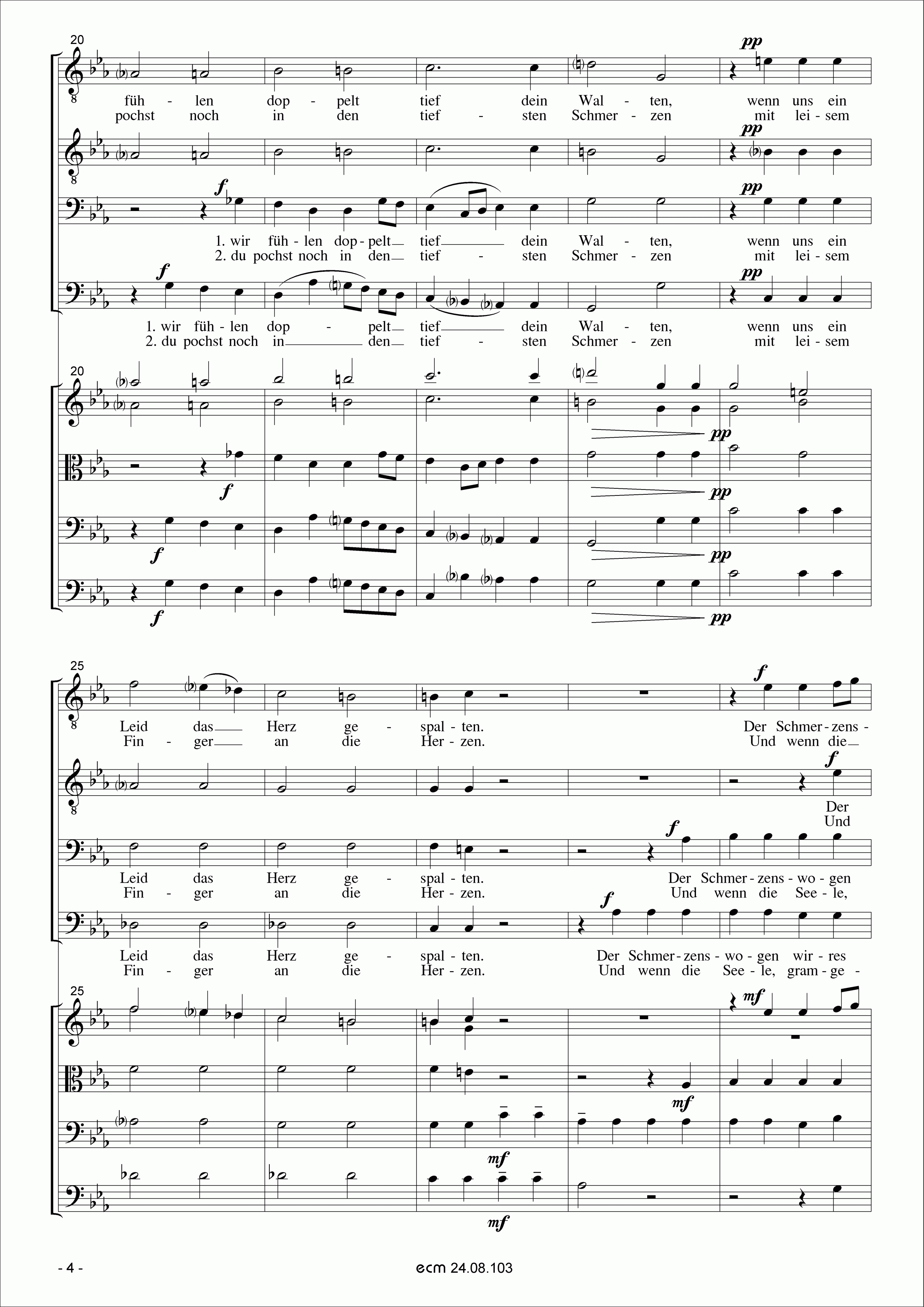 Trösterin Musik (with String orchestra)