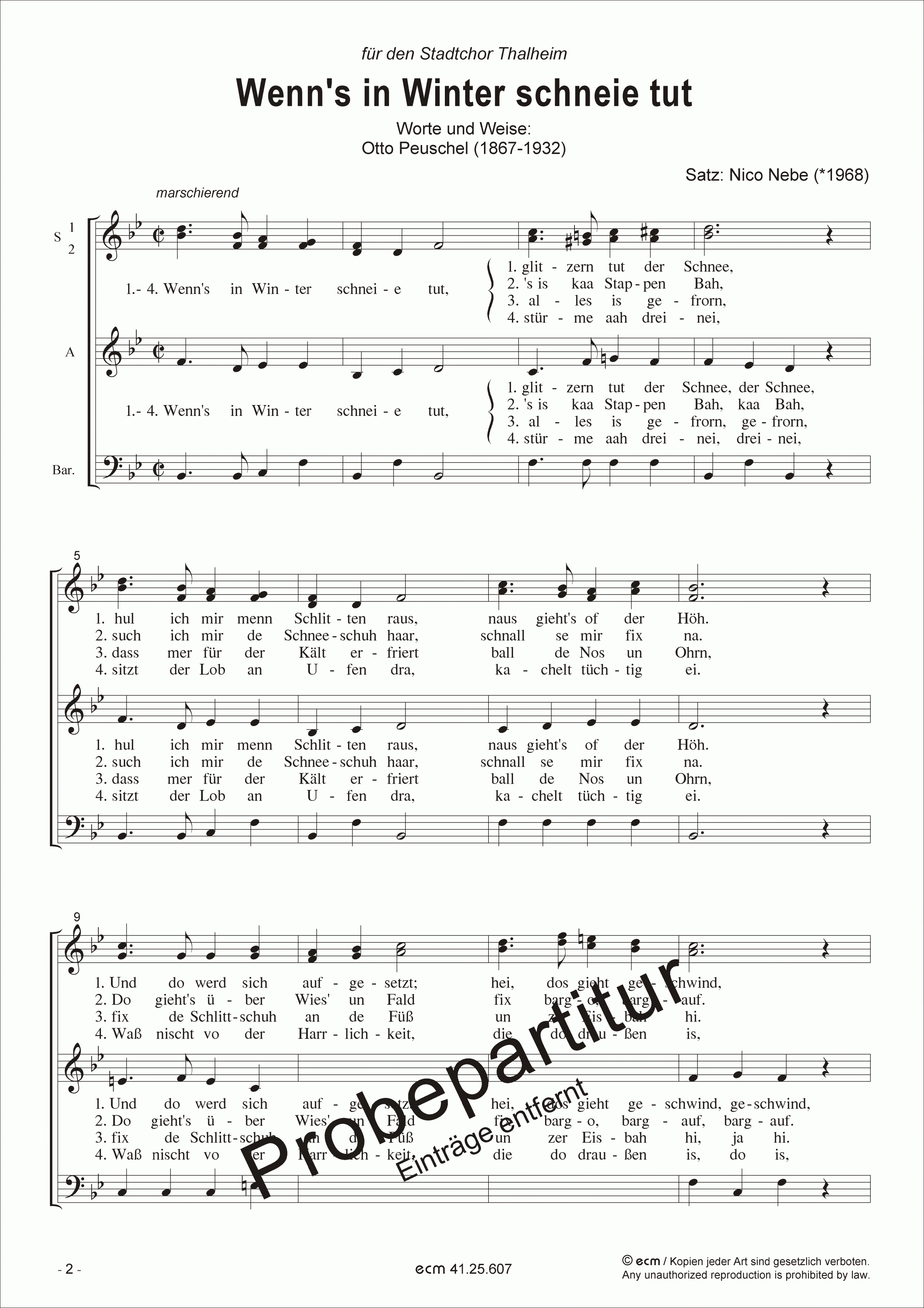 Wenn's in Winter schneie tut