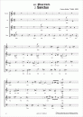 Sanctus (aus „Missa brevis“)